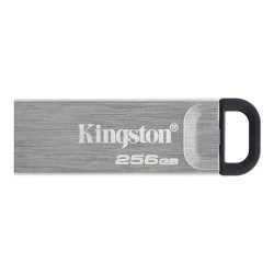 Pendrive Kingston 256Gb USB-A 3.0 Plata (DTKN/256GB)