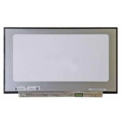Pantalla LCD AUO 17.3in LED FullHD (B173HAN04.2)