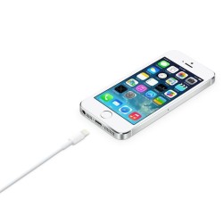 Cable Apple Original Lightning-USB 2m (MD819ZM/A)