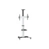 Equip 650602 soporte para pantalla de señalización 177.8 cm (70") Negro, Blanco